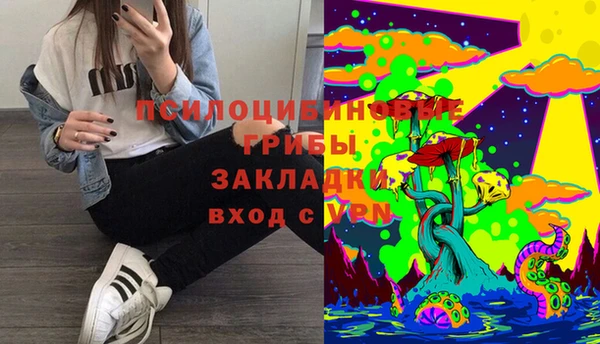PSILOCYBIN Каменногорск