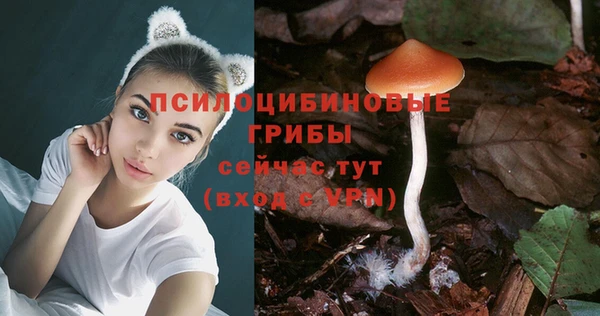 PSILOCYBIN Каменногорск