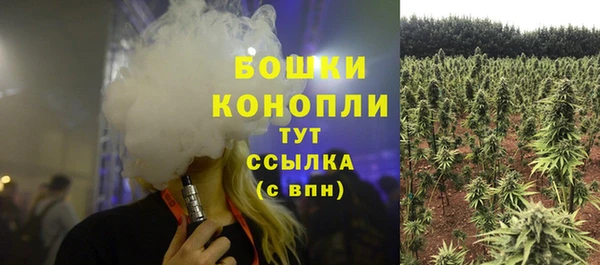 твердый Каменка