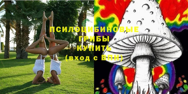 тгк Каменск-Шахтинский