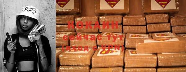 твердый Каменка