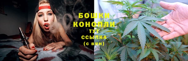 PSILOCYBIN Каменногорск