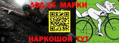 молекула духа Будённовск