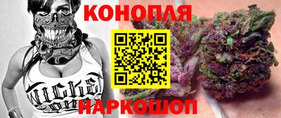 молекула духа Будённовск