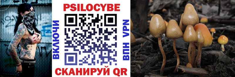 Псилоцибиновые грибы Psilocybine cubensis  Домодедово 