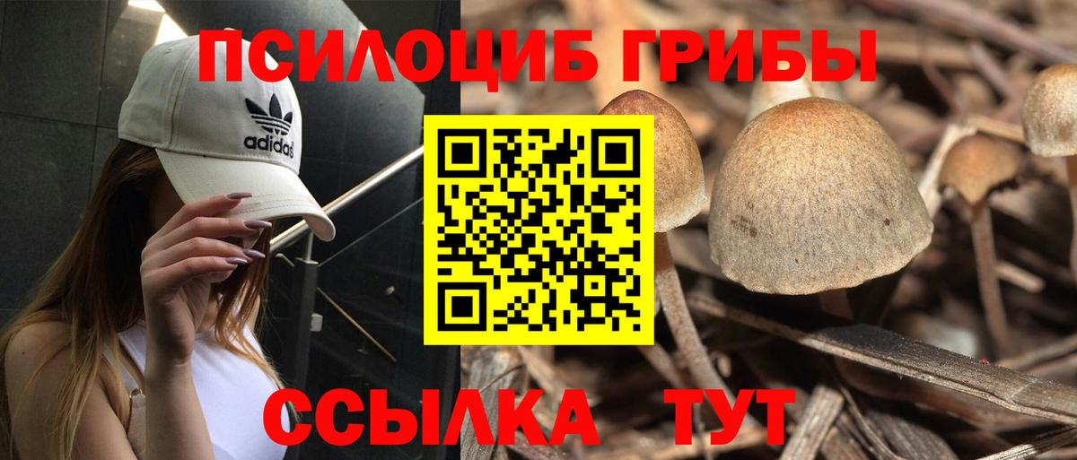Галлюциногенные грибы прущие грибы  купить   Домодедово  Галлюциногенные грибы GOLDEN TEACHER  Вход с VPN 
