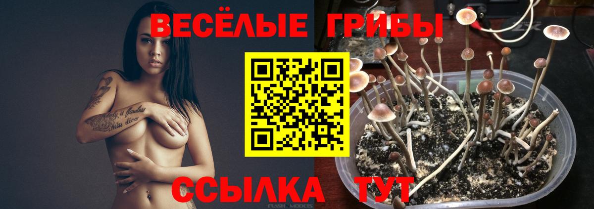 Псилоцибиновые грибы Magic Shrooms Домодедово